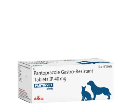 Azista Pantin Vet 40 MG, Pantoprazole Tablets for Dogs & Cats, 10 Tablets at ithinkpets.com (1)