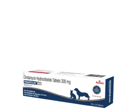 Azista Treatclin 300 MG Clindamycin Tablets for Dogs & Cats, 10 Tablets at ithinkpets.com (1)