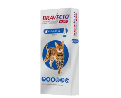 Bravecto Cat 250 MG (Fluralaner) Spot On Solution for Medium Sized Cats at ithinkpets.com (1)