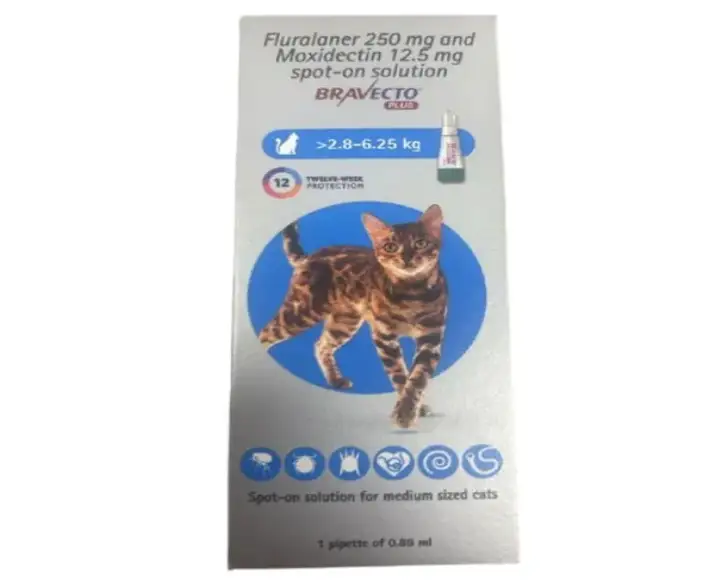 Bravecto Cat 250 MG (Fluralaner) Spot On Solution for Medium Sized Cats at ithinkpets.com (2)