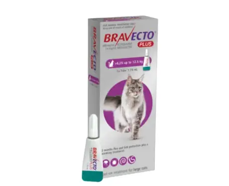 Bravecto-Cat-500-MG-Fluralaner-Spot-On-Solution-for-Large-Cats-Ithinkpets.com