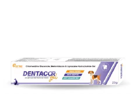 Corise DENTACOR Gel for Pain and Gum Infections, 20 GM at ithinkpets.com (1) (2)