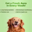 Natural Remedies Auraglow Moisturizing Shampoo for Dogs and Cats, 175 ML at ithinkpets.com (5)