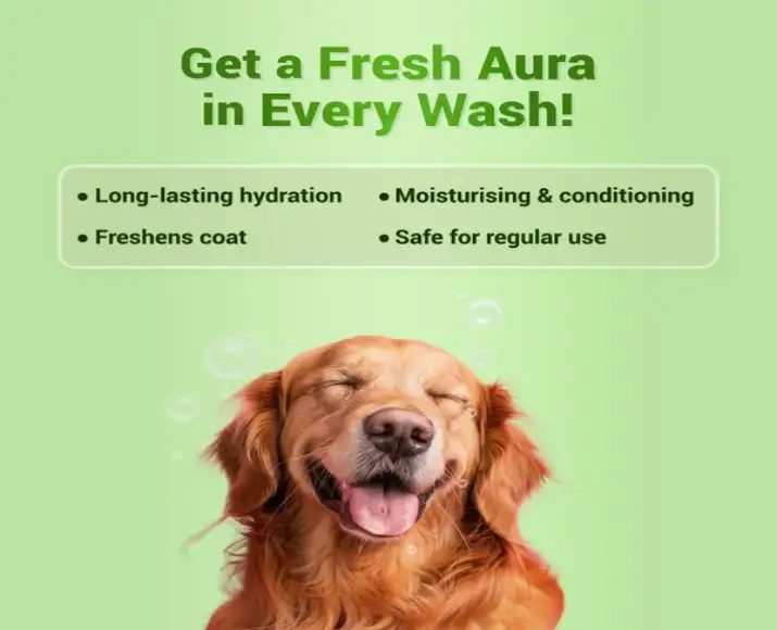 Natural Remedies Auraglow Moisturizing Shampoo for Dogs and Cats, 175 ML at ithinkpets.com (5)