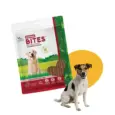 Natural-Remedies-Derma-Bites-Dog-Treats-75-GM-Ithinkpets (5)