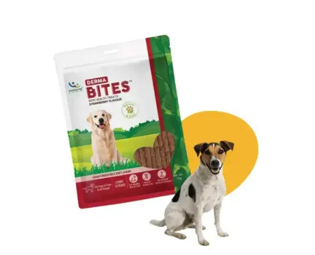 Natural-Remedies-Derma-Bites-Dog-Treats-75-GM-Ithinkpets (5)