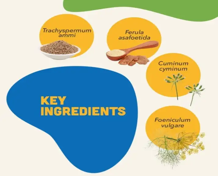 Natural-Remedies-Digestive-Bites-Chew-Treats-for-Dogs-75-GM-Ithinkpets (1)