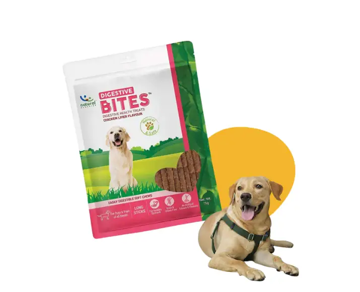 Natural-Remedies-Digestive-Bites-Chew-Treats-for-Dogs-75-GM-Ithinkpets (7)