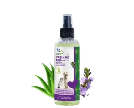Natural Remedies Fresh Me Up Bloom Aloevera Cleanser for Dogs and Cats, 170 ML at ithinkpets.com (1)