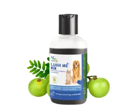 Natural Remedies Lush Me Up Anti Hairfall Shampoo for Dogs and Cats at ithinkpets.com (1)