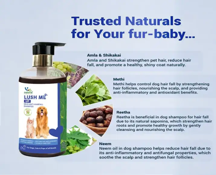 Natural Remedies Lush Me Up Anti Hairfall Shampoo for Dogs and Cats at ithinkpets.com (3)