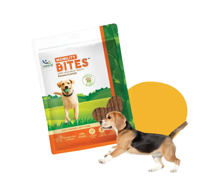 Natural-Remedies-Mobility-Bites-Chew-Treats-for-Dogs-75-GM-Ithinkpets (2)