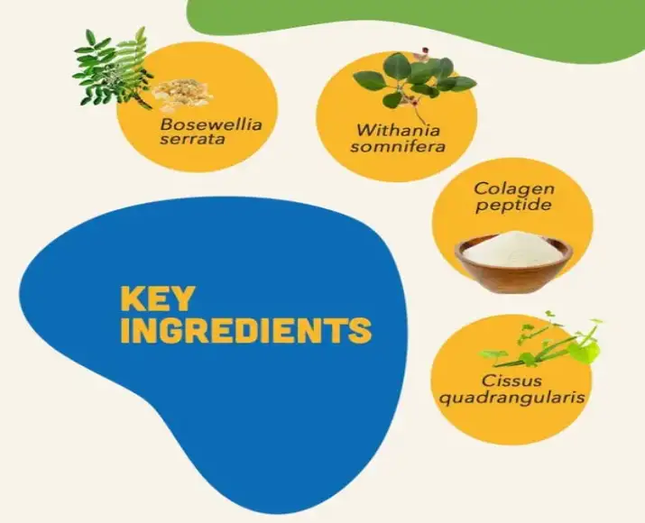 Natural-Remedies-Mobility-Bites-Chew-Treats-for-Dogs-75-GM-Ithinkpets (1)