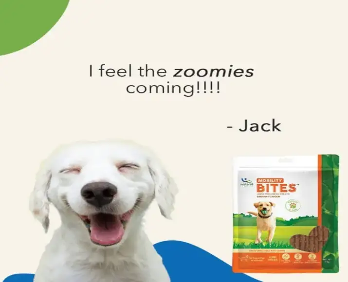 Natural-Remedies-Mobility-Bites-Chew-Treats-for-Dogs-75-GM-Ithinkpets (1)