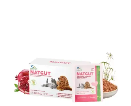 Natural Remedies Natgut Granules 4.2 GMS Supplement for Cats and Dogs, 30 Sachets at ithinkpets.com (1)