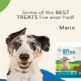 Natural Remedies Smart Bites Chew Treats for Dogs, 75 GM at ithinkpets.com (5)