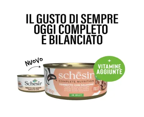 Schesir Tuna with Salmon Cans for Adult Cat, Fillets in Jelly, 85 gm at ithinkpets.com (2)