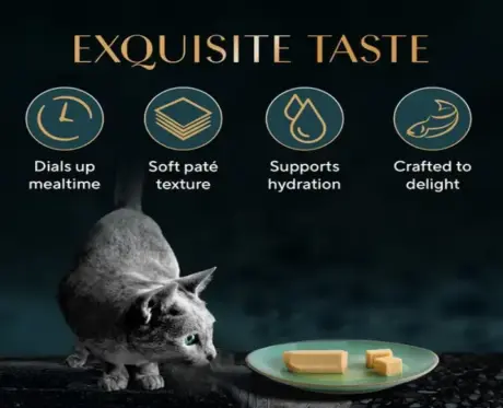 Sheba Maguro Pate Rich Premium Adult Fine Cat Wet Food, 70 GM Ithinkpets.com 1 (3)