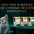Sheba Maguro Soft Pate Rich Premium Kitten Cat Wet Food, 70 GM Ithinkpets (5)