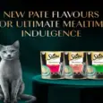 Sheba Sasami Pate Rich Premium Adult Fine Cat Wet Food, 70 GM Ithinkpets.com 6 (2)