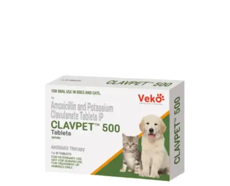 Veko-Clavpet-Amoxicillin-Potassium-Clavulnate-Tablets-for-Dogs-Cats10-Tablets-Ithinkpets.com