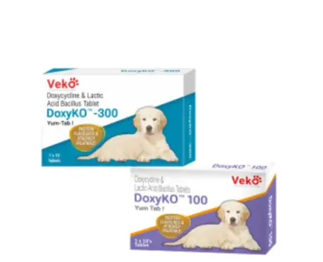 Veko-DoxyKo-Doxycycline-Lactic-Acid-Bacillus-Tablets-for-Dogs-Cats10-Tablets-Ithinkpets.com