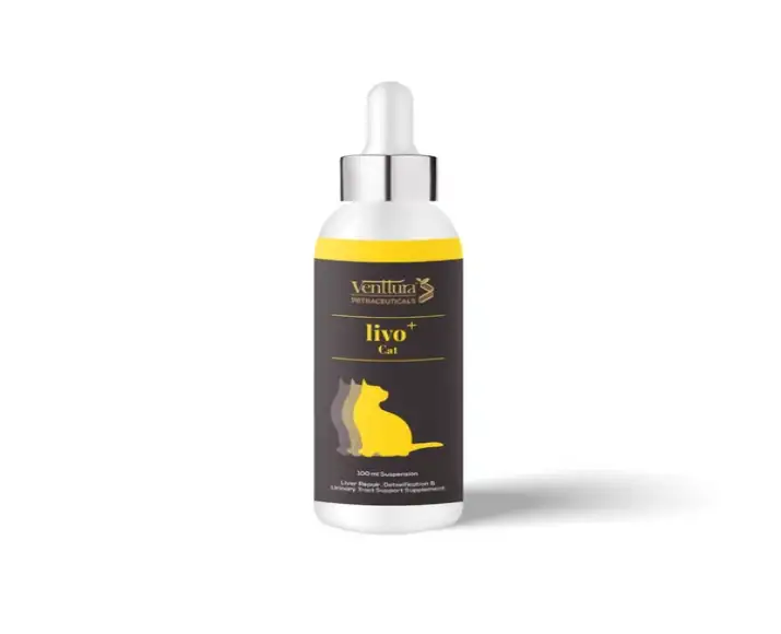 Venttura Livo Plus Cat, Liver Repair Supplement for Cats, 100 ML at ithinkpets.com (2)