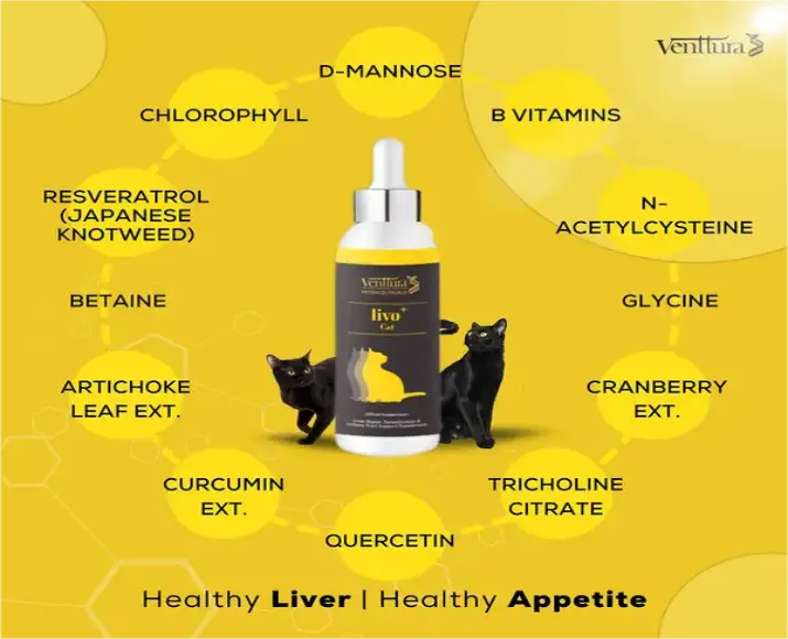 Venttura Livo Plus Cat, Liver Repair Supplement for Cats, 100 ML at ithinkpets.com (4)