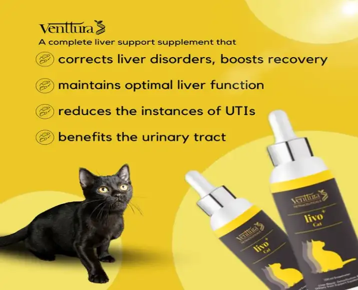 Venttura Livo Plus Cat, Liver Repair Supplement for Cats, 100 ML at ithinkpets.com (6)