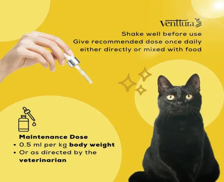 Venttura Livo Plus Cat, Liver Repair Supplement for Cats, 100 ML at ithinkpets.com (8)