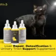 Venttura Livo Plus Cat, Liver Repair Supplement for Cats, 100 ML at ithinkpets.com (9)