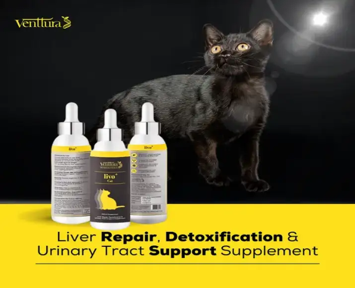 Venttura Livo Plus Cat, Liver Repair Supplement for Cats, 100 ML at ithinkpets.com (9)