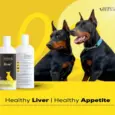 Venttura Livo Plus Liver Supplement Syrup for Dogs, 150 ML at ithinkpets.com (6)