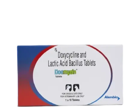 Alembic Docmycin L 100 Tablets for Dogs & Cats, 10 Tablets at ithinkpets.com (1) (1)