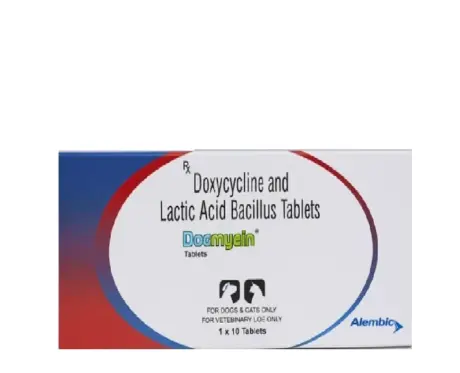 Alembic Docmycin L 100 Tablets for Dogs & Cats, 10 Tablets at ithinkpets.com (3) (1)
