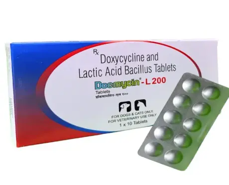 Alembic Docmycin L 200 Tablets for Dogs & Cats, 10 Tablets at ithinkpets.com (2)