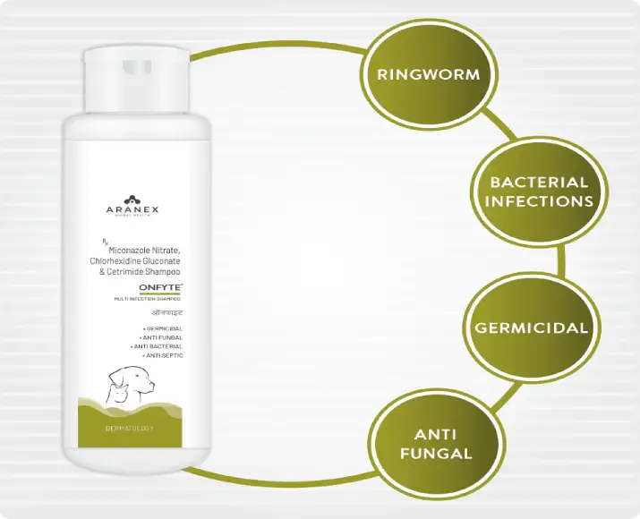 Aranex Onfyte Shampoo, Multi Infection Shampoo for Dogs & Cats, 100 ML Ithinkpets (1)