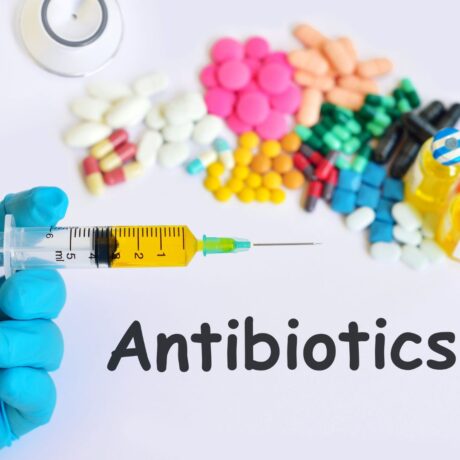 Are Cat Medicines Different from Dog Medicines (5)