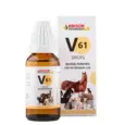 Bakson Veterinary V61 Blood Purifier Drops for Pets & Farm Animal, 30 ML Ithinkpets (1)