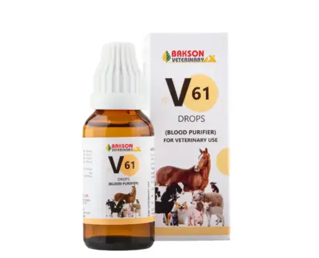 Bakson Veterinary V61 Blood Purifier Drops for Pets & Farm Animal, 30 ML Ithinkpets (1)