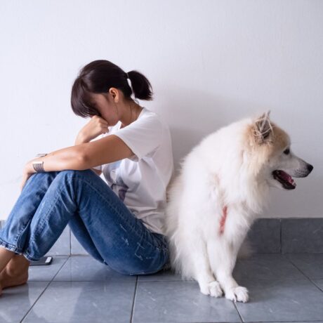 Calming & Anxiety Issues in Pets Signs, Causes & Safe Solutions (3)