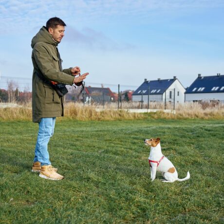 Calming & Anxiety Issues in Pets Signs, Causes & Safe Solutions (3)