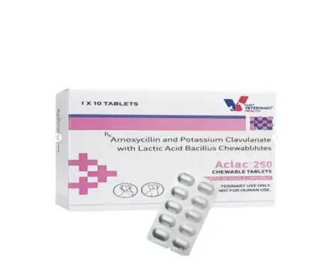 Drools Aclac Tablets (Amoxicillin & Clavulanate) for Dogs & Cats, 10 Tablets Ithinkpets (2)
