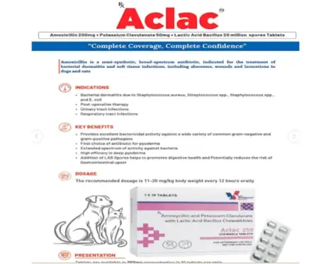 Drools Aclac Tablets (Amoxicillin & Clavulanate) for Dogs & Cats, 10 Tablets Ithinkpets (2)