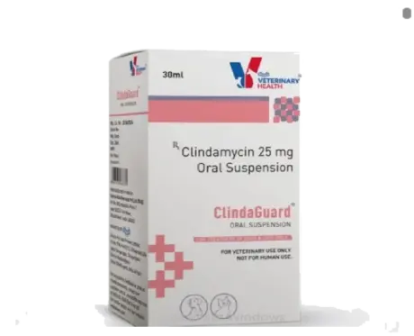 Drools ClindaGuard Oral Suspension (Clindamycin) for Dogs & Cats, 30 ML at ithinkpets.com (1) (1)