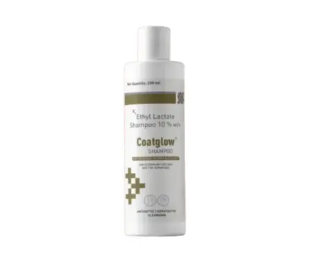 Drools Coatglow Shampoo (Ethyl lactate) for Dogs and Cats, 200 ML Ithinkpets.com