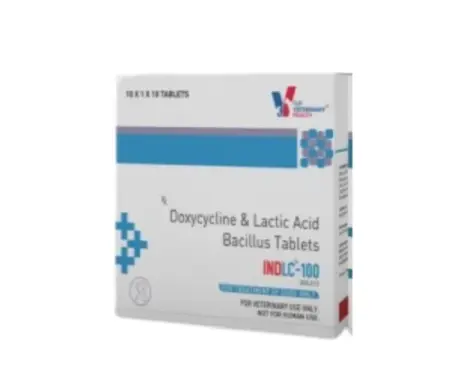 Drools INDLC Tablet Antibiotic for Pets, Skin, Respiratory & Wound Infections at ithinkpets.com (1) (1)