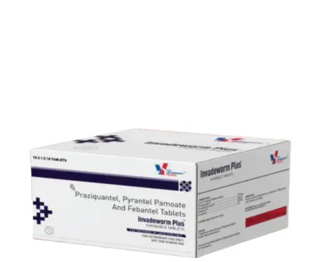 Drools Invadeworm Plus Dewormer Tablets for Dogs,10 Tablets Ithinkpets.com