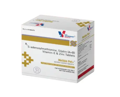 Drools Melibin Pet + Tablets for Dogs,10 Tablets Ithinkpets.com