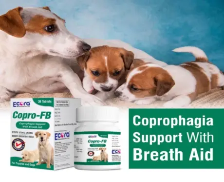 Ecora MPS Copro FB Tablets for Pets,Coprophagia Control & Digestive Support, 30 Tablets at ithinkpets.com (2)